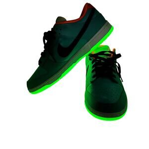 Nike Dunk Low SE‎ Blue Orange Men’s 10/Wmns 11.5 Glow Sole Streetwear NWOB